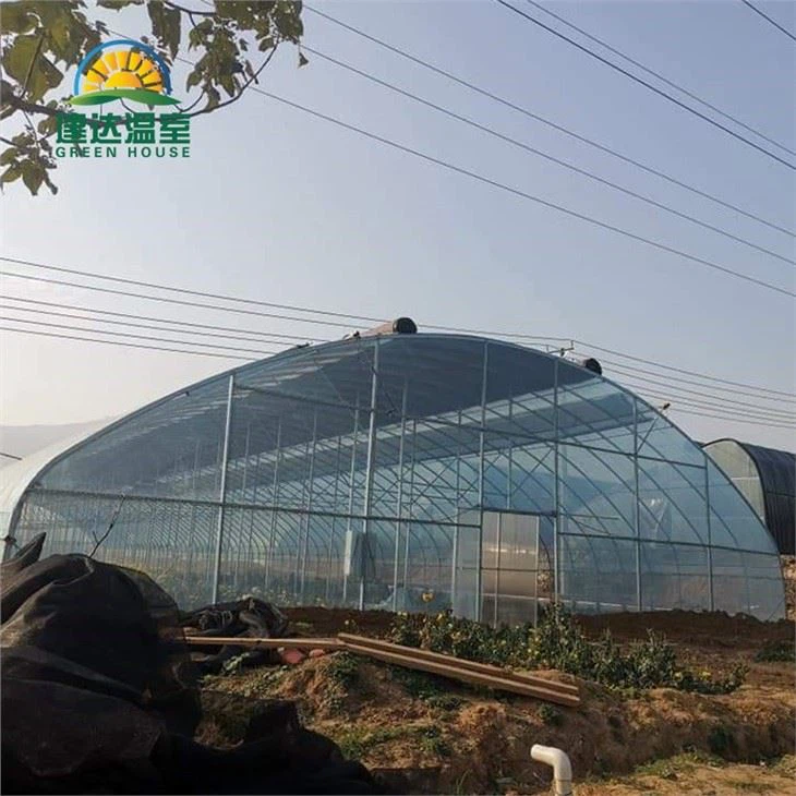 Single Tunnel Green House