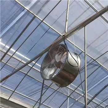 Ventilator za kroženje zraka v rastlinjaku