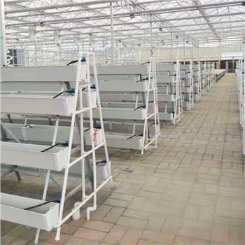 Hidroponika Vertikalno kmetovanje