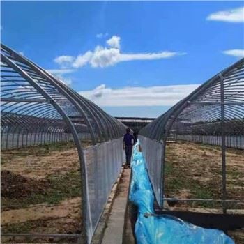 Rastlinjak filma Singlespan