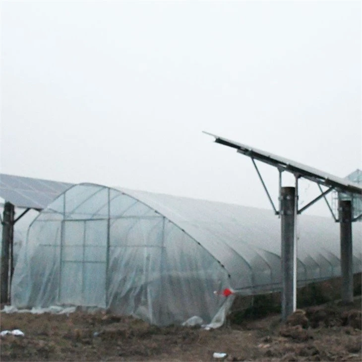solar green house