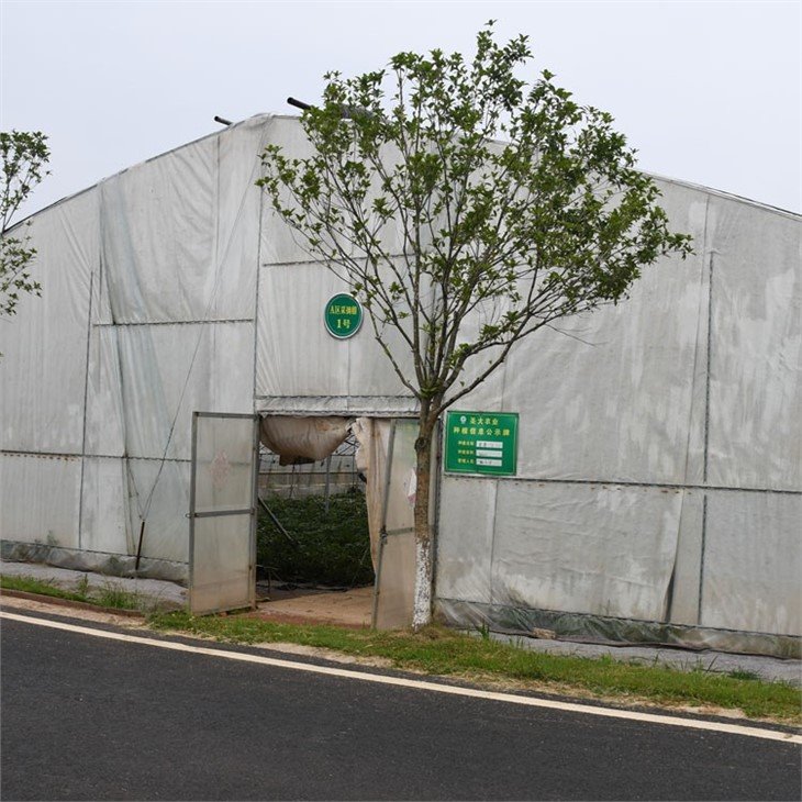 tunnel greenhouse