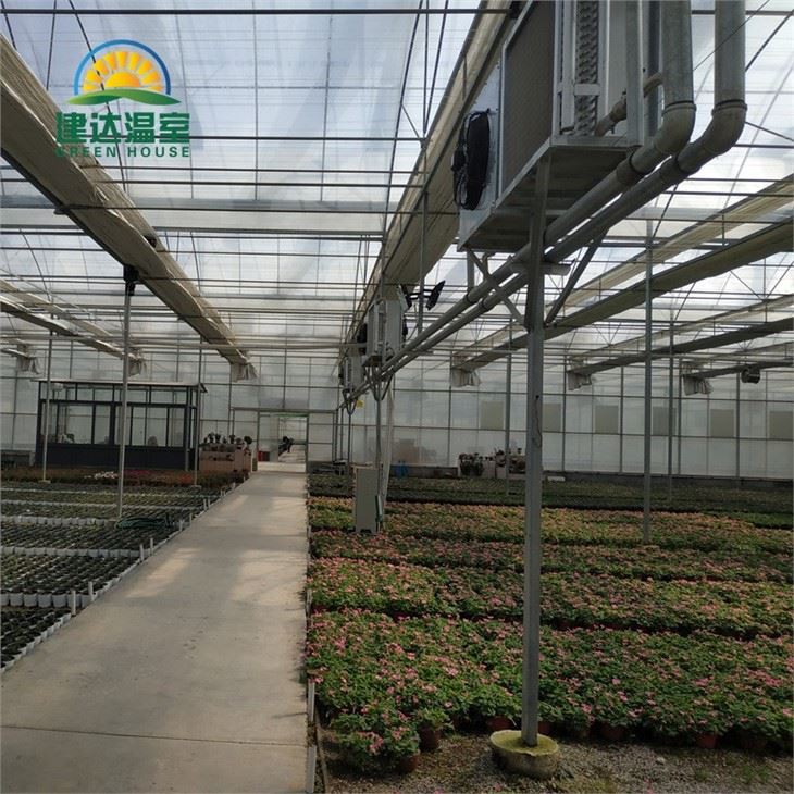 Vegetable Lettuce Greenhouse With Hydroponic