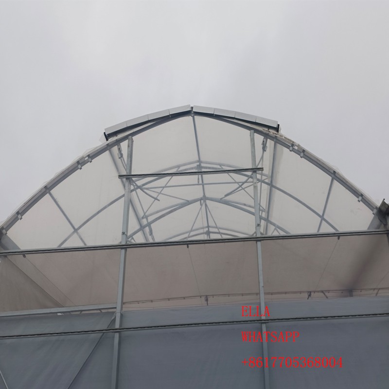 FILM GREENHOUSE FILM GREENHOUSE