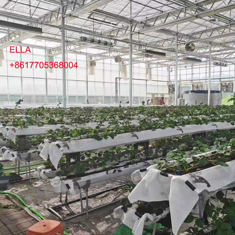 hydroponic greenhouse hydroponic greenhouse