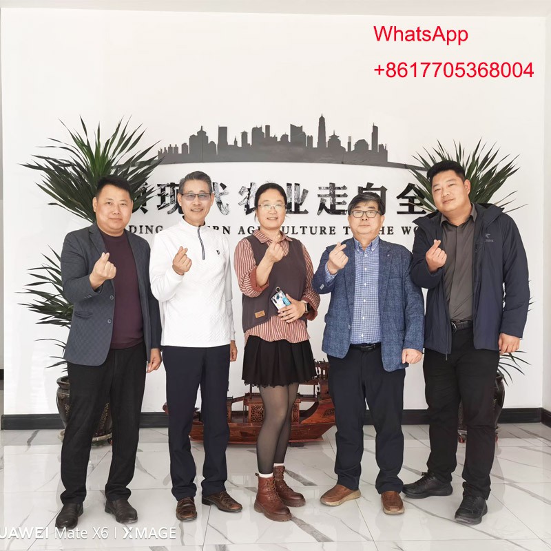 greenhouse supplier greenhouse supplier